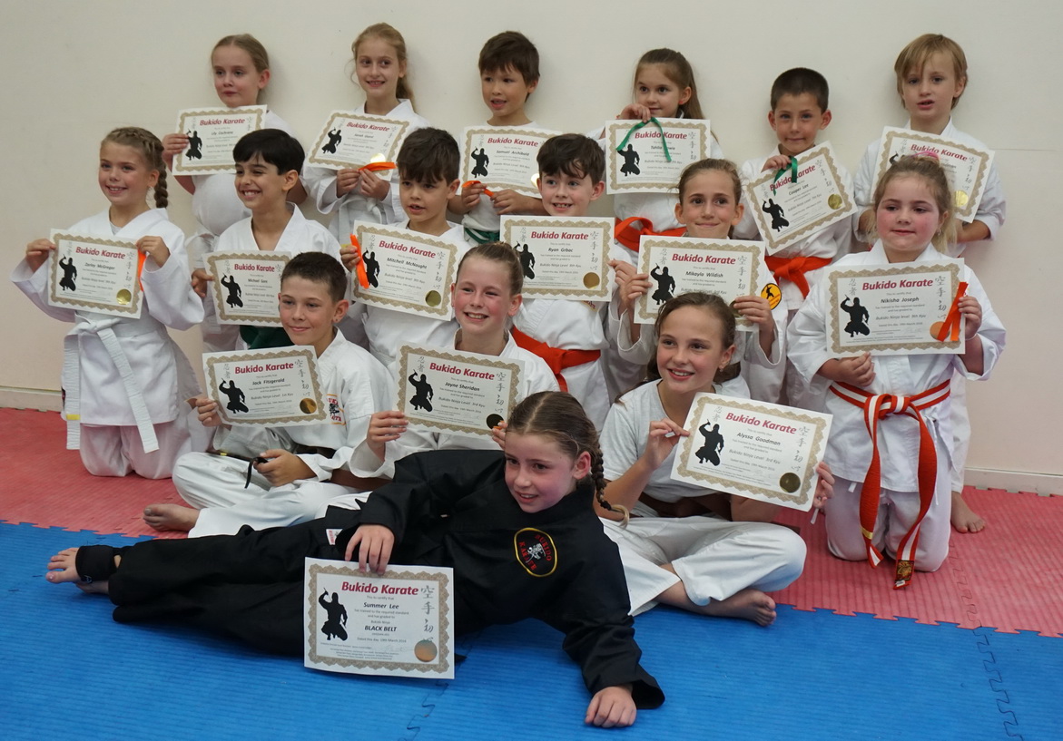 Ninja’ and Dragons Bukido Karate